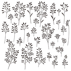 植物のイラスト