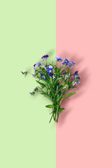 Wild violet flower bouquet on pastel color background