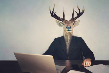 head deer's head. The concept of brainlessness and stupidity authorities or government. boss is a...