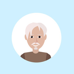 asian old man face happy portrait on blue background, male avatar flat vector illustration