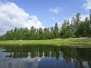Fototapeta na wymiar Summer landscape: a beautiful sunny day in the forest on the shore of a calm lake