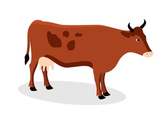 Cow isolated on the white background. Vector illustration.