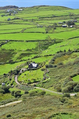 Summer green fields of west coast of Ireland with Atlantic ocean in background. Portrait view.