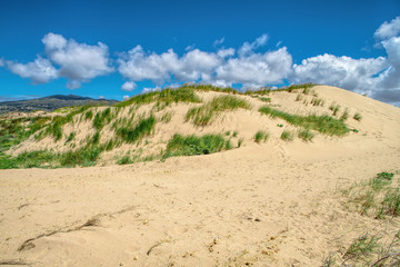 White clouds on blue sky over dunes