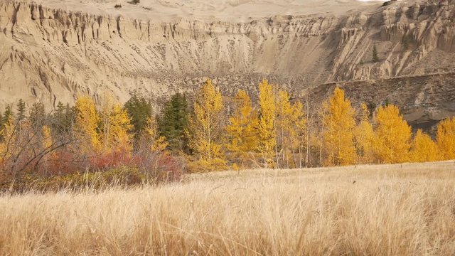 View of the pinnacles/hoodoos at Farwell Canyon, BC, Canada as can be seen from the old Pothole Ranch.