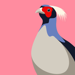 pheasant head vector illustration flat style front