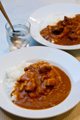 昔ながらの食堂のポークカレーとビーフカレー