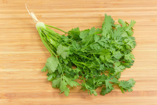 Young coriander with stalks, leaves and root on wooden surface
