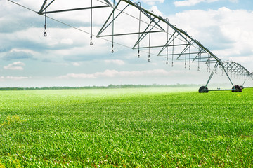 irrigation machine watering agricultural field with young sprouts, green plants on black soil and beautiful sky