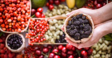 fresh mulberry in the hands of a girl