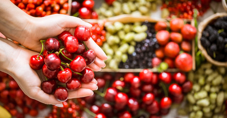 fresh cherry in the hands of a girl
