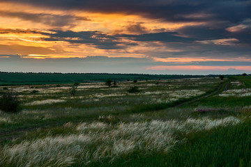 Fototapeta na wymiar beautiful sunset is in the field, wild flowers and grass, sunlight and dark clouds