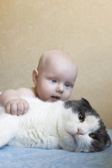 A small child hugs a big fluffy cat