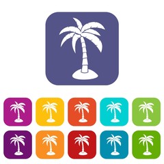 Palm icons set vector illustration in flat style in colors red, blue, green, and other
