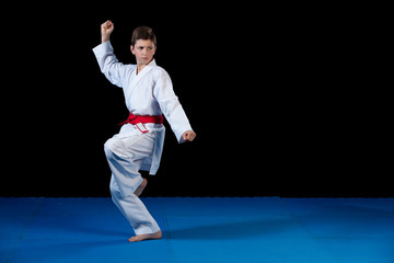 Young boy dressed in a white karate kimono with red belt. © FS-Stock