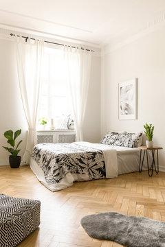 Plant next to bed in bright bedroom interior with poster and pouf next to fur. Real photo