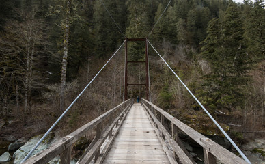 Fototapeta premium Bridge