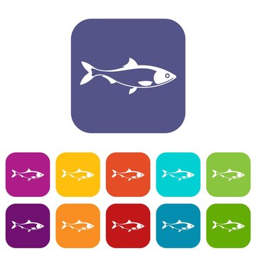 Fish icons set vector illustration in flat style in colors red, blue, green, and other