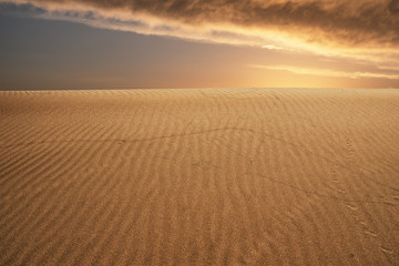 Global warming concept. Lonely sand dunes under dramatic evening sunset sky at drought desert landscape