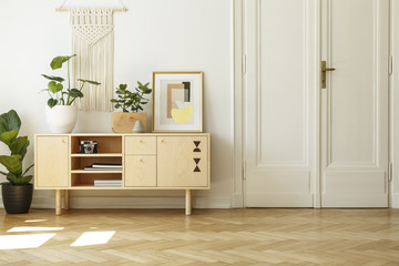 Poster and plant on wooden cupboard in living room interior with white door. Real photo
