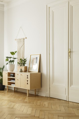 Wooden cabinet with plant and poster in white living room interior with door. Real photo