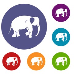 Elephant icons set in flat circle red, blue and green color for web