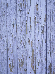 background consisting of peeling blue purple paint on old door