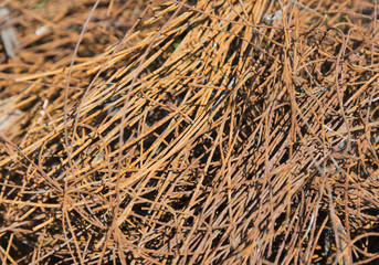 Rusty wire and pieces of metal cable