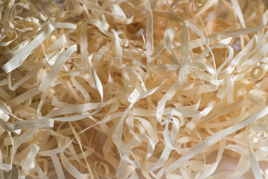 golden  wood shavings macro