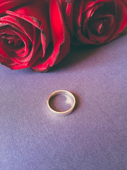 gold ring and two rose on the violet purple floor