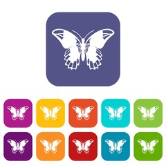 Admiral butterfly icons set vector illustration in flat style in colors red, blue, green, and other