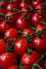 Tomatoes on black background. Branch with fresh cherry tomatoes. Ripe red tomatoes. 