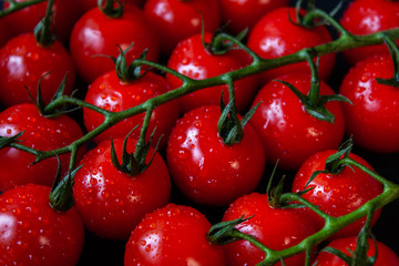 Tomatoes on black background. Branch with fresh cherry tomatoes. Ripe red tomatoes. 