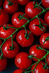 Tomatoes on black background. Branch with fresh cherry tomatoes. Ripe red tomatoes. 