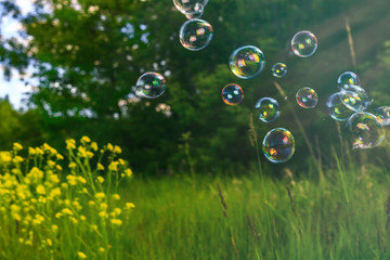 Abstract, blurry soap bubbles in the field at sunset background. Design Elements