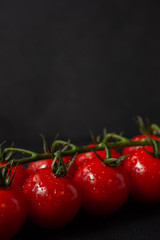 Branch of tomatoes cherry on black background. Tomatoes on black background.