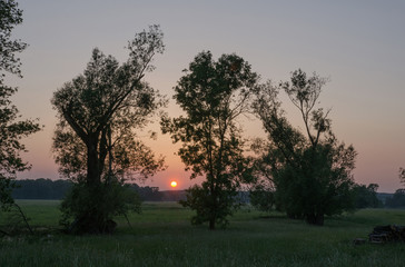 Sunset in the natural wilderness of the countryside