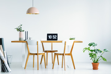 Wooden chairs at desk with laptop in white home office interior with plant and lamp. Real photo