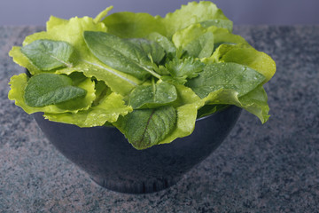 top view of a mix of fresh leaves for salad preparation