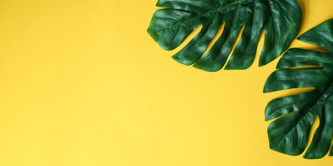 close up blank ecology tropical leaves laying on yellow paper texture background with copy space for idea your text,ads,content on image