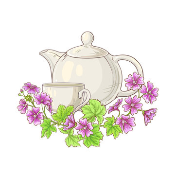 malve tea illustration