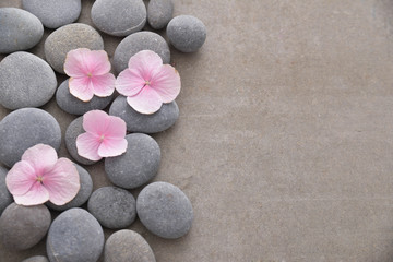 Fototapeta na wymiar Four Pink hydrangea petals with pile of gray stones on gray background