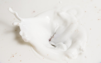 Chocolate falls in milk