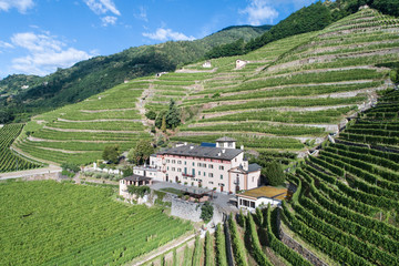 Winery in Valtellina, vineyards in the Italian Alps. La Gatta, Bianzone