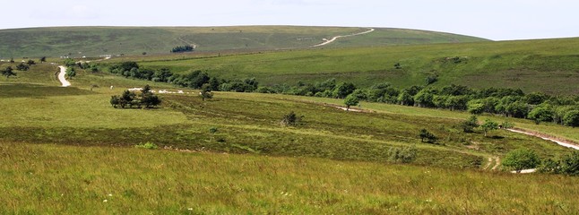 Fototapeta premium paysages du haut Forez, Auvergne
