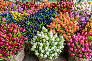 Group of colorful wooden tulips