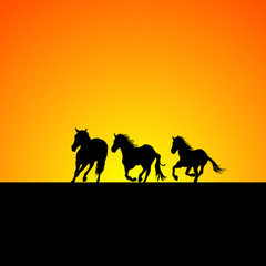 Silhouette of three horses galloping at sunrise