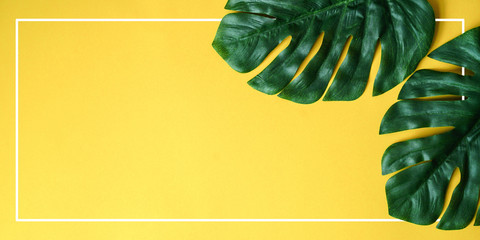 close up green tropical leaves laying on yellow paper panoramic background with white frame border...