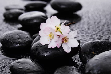 Dekokissen spa concept-cherry flower, candle and black wet pebbles © Mee Ting