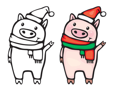Vector  funny pigs,  black and white  silhouette and colored, isolated on white. Christmas pigs cartoons.